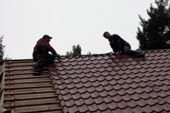DSCN8206